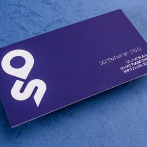 Cartes de Visite Standard Mate 350gsm